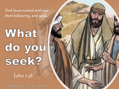 John 1:38 Jesus Said To Them What Do You Seek (white)